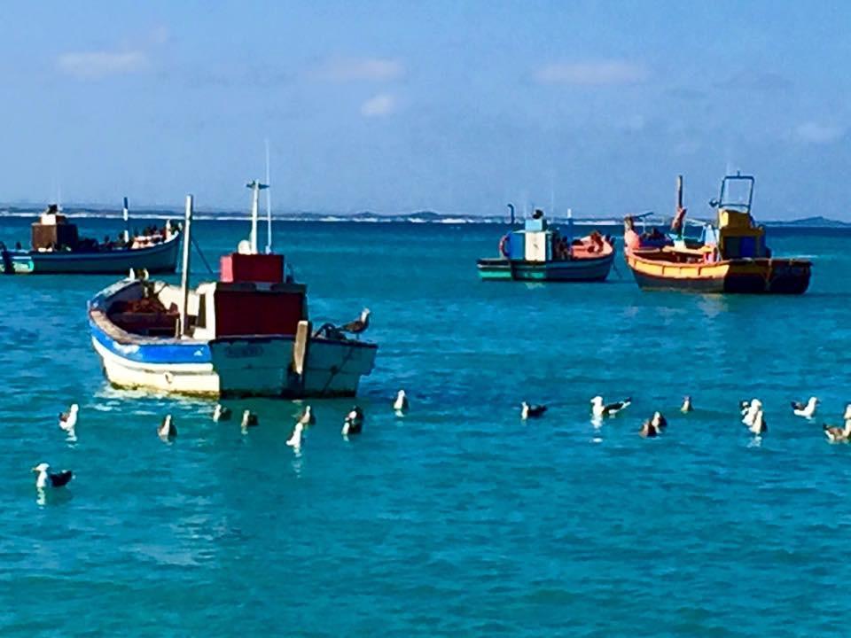 The Goose Nest Lägenhet Struisbaai Exteriör bild